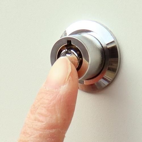 ǥʡ/ۥܥåեݥEstellaƥ2顼ۤ¾-ǥʡȶN PLUS