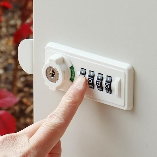 ǥʡ/ۥܥåեݥEstellaƥ2顼ۤ¾-ǥʡȶN PLUS