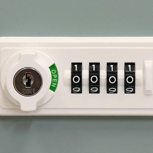 ǥʡ/ۥܥåեݥEstellaƥ2顼ۤ¾-ǥʡȶN PLUS