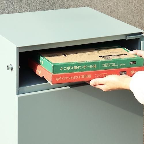 ǥʡ/ۥܥåեݥEstellaƥ2顼ۤ¾-ǥʡȶN PLUS