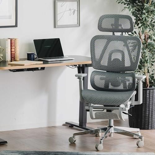 �ǥ����ʡ�����������/�ϥ��ѥե����ޥ󥹥ϥ��Хå���å�����������DG��2���顼�ۤ���¾����-�ǥ����ʡ����ȶ�����N PLUS