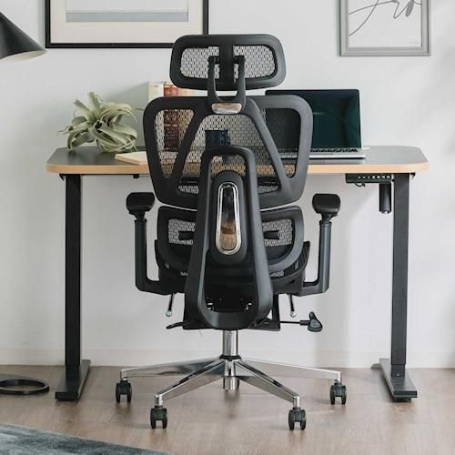 �ǥ����ʡ�����������/�ϥ��ѥե����ޥ󥹥ϥ��Хå���å�����������DG��2���顼�ۤ���¾����-�ǥ����ʡ����ȶ�����N PLUS