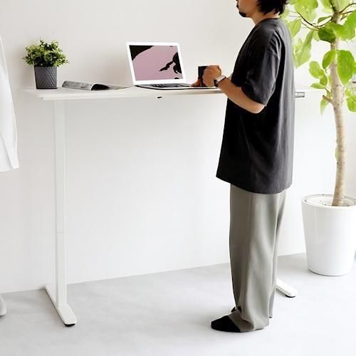 ǥʡ/ɥǥưߥǥNo.3891W140cm2顼ۤ¾-ǥʡȶN PLUS