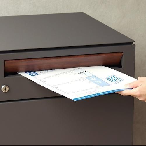 ǥʡ/ۥܥåեݥGian2ʻ͡2顼ۤ¾-ǥʡȶN PLUS