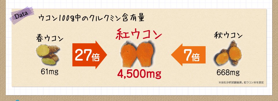 クルクミン含有量【紅ウコン】4,500mg【春ウコン】61mg【秋ウコン】668mg