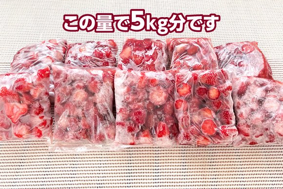 夏いちご販売・通販 業務用・家庭用/秋田県羽後町産いちご