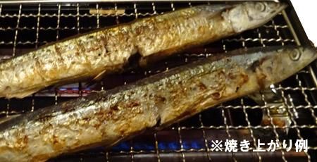 北海道 さんま 送料無料 北海道産 糠さんま 16尾前後 ネット価格 3980円 糠さんま サンマ