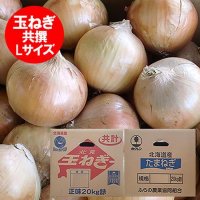 北海道 たまねぎ 20kg 送料無料 北海道産 玉ねぎ 20kg 玉葱 タマネギ L