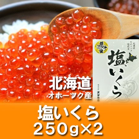 いくら 500g 塩 いくらを送料無料で 価格 7980円 北海道産 いくら 塩漬け 北海道産の塩イクラ 500 G 250g 2