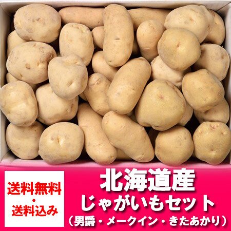 野菜セット 送料無料 野菜詰め合わせ 北海道産 男爵いも / きたあかり