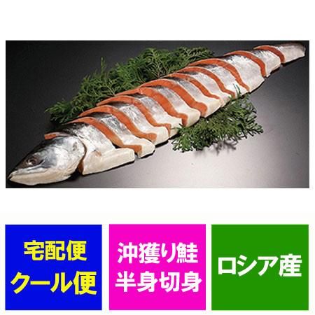 沖獲り 鮭 切り身 送料無料 沖獲り鮭 半身 切身 しゃけ 切り身