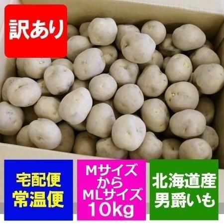 訳あり じゃがいも 男爵いも 送料無料 北海道産 男爵いも 10kg じゃがいも Mサイズ 北海道 野菜