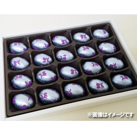 チョコレート 送料無料 北海道 ハスカップ チョコレート 価格 1000 円