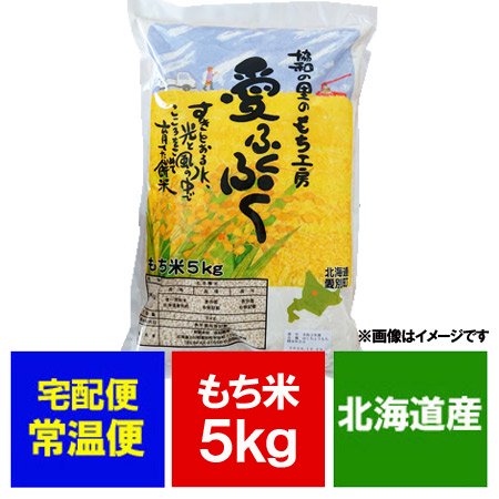 米 北海道米 もち米 5kg ( 5キロ ) 北海道産米 もちごめ 品種 風の子