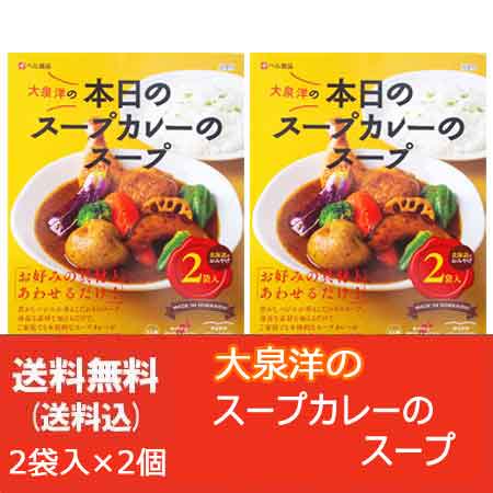 スープカレー 大泉洋 スープカレーセット 送料無料 大泉洋 プロデュース 本日のスープカレー ベル食品 2個(2袋入×2) スープカレー レトルト  北海道 スープ カレー 惣菜