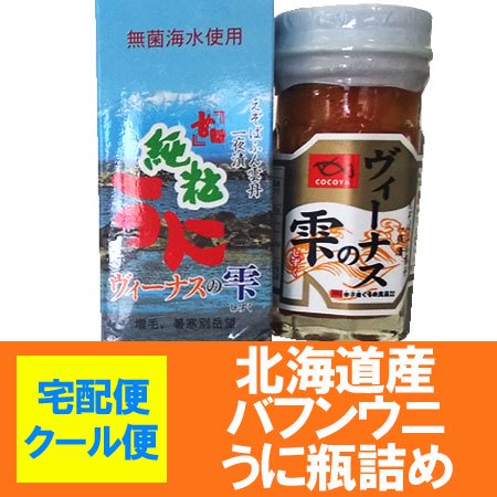 北海道 塩うに ばふんうに うに 瓶 ウニ 北海道産 蝦夷 バフンウニ 塩