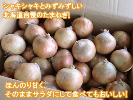 北海道 玉ねぎ 20kg 送料無料 たまねぎ 20kg 2Lサイズ 共選 タマネギ 野菜 たまねぎ 北海道産 富良野 もしくは 北見F1 玉葱