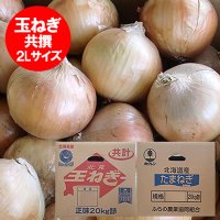 北海道 玉ねぎ 送料無料 北海道産 たまねぎ 20kg 玉葱 タマネギ 2L