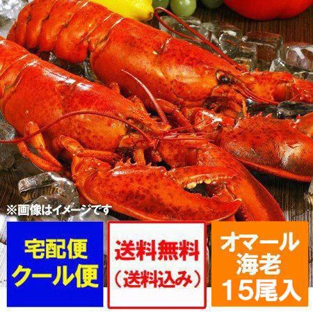 オマール海老 送料無料 オマールエビ ボイル 15尾(1尾 300g×15) 1箱(1ケース) オマール海老 冷凍 ロブスター 水産物 水産加工品  エビ オマール ロブスター