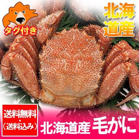 北海道 毛ガニ 送料無料 浜茹で けがに ボイル 毛がに 北海道産 毛蟹