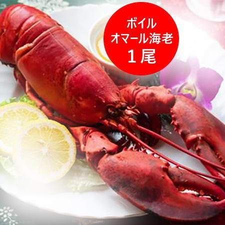 オマール海老 送料無料 オマール海老 ボイル 1尾 400g 価格 3980 円 オマールエビ 冷凍