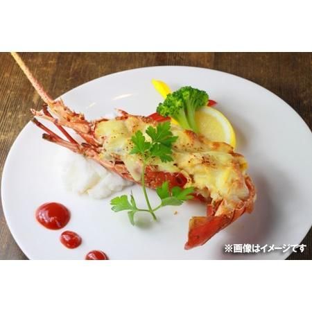 オマール海老 送料無料 オマール海老 ボイル 1尾 400g 価格 3980 円