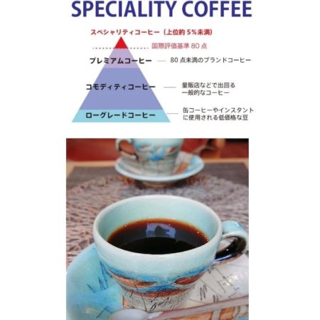 コーヒーギフト 送料無料 コーヒー 豆 ギフト 珈琲 コーヒー豆 / 珈琲