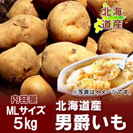 じゃがいも だんしゃく 送料無料 北海道産 じゃがいも 男爵いも 5kg MLサイズ じゃがいも 男爵いも 野菜 ジャガイモ