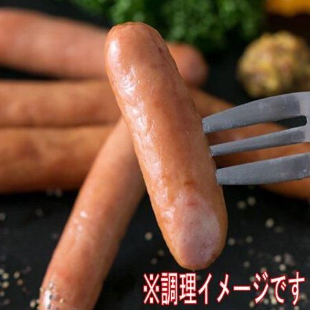 ソーセージ詰め合わせ セット 送料無料 ソーセージ 詰め合わせ