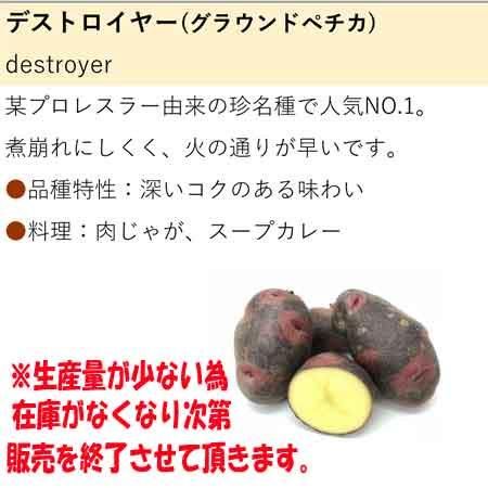 北海道 じゃがいも デストロイヤー 北海道産 じゃがいも 5kg M