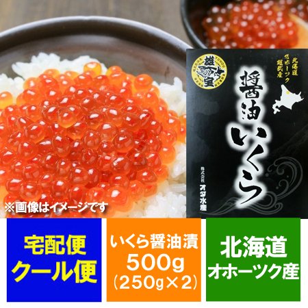 いくら 送料無料 いくら醤油漬け 500g 価格 7980円 北海道 いくら 醤油漬け 500g 250g 2