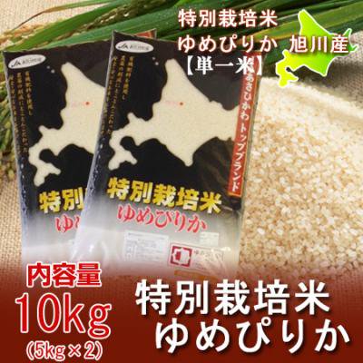 北海道米　ゆめぴりか　10キロ　送料無料