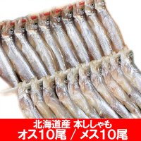 お魚 - 【北海道お土産】【北海道限定品】【北海道米】など北海道の