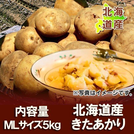 じゃがいも 北あかり 北海道 ジャガイモ きたあかり 5kg MLサイズ 北海道産 黄色いじゃがいも キタアカリ 栗じゃが 野菜 ジャガイモ