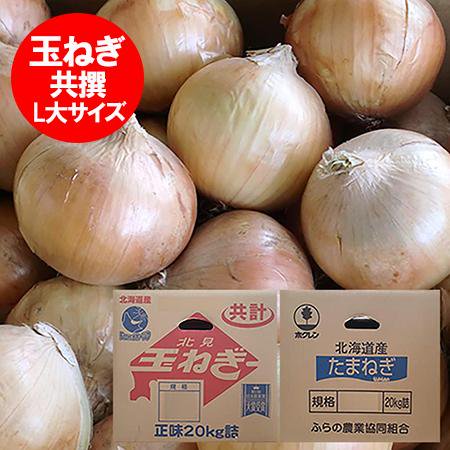 北海道 玉ねぎ 送料無料 たまねぎ 20kg L大サイズ 共選 玉葱 野菜 たまねぎ 北海道産 富良野 もしくは 北見F1 タマネギ