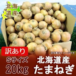 訳あり 玉ねぎ 20kg 北海道 たまねぎ 20kg 玉葱 Sサイズ 玉ねぎ わけ