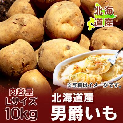 北海道 じゃがいも 送料無料 男爵いも 北海道産 男爵いも 10kg Lサイズ ネット価格 3240円 だんしゃくいも