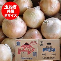 北海道 たまねぎ 送料無料 玉葱 北海道産 玉ねぎ 20kg Mサイズ