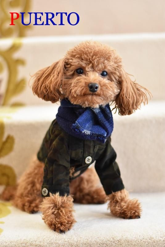 ウールチェックマフラー 犬服のpuerto ウールチェックマフラー 犬服のpuerto