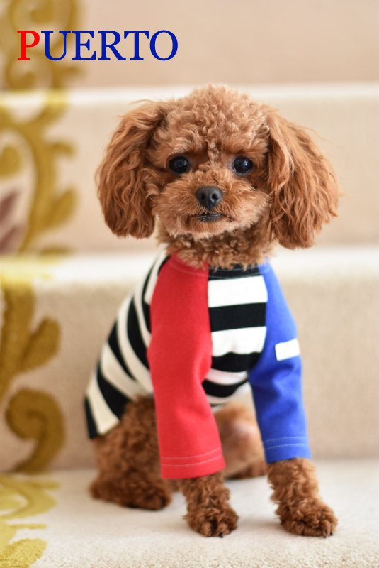 PUERTO プエルト 1h リバーシブルダウンベスト 犬服 赤 red - 犬用品