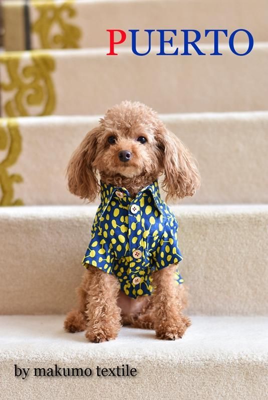 ビーンズガーデンエプロン by makumo textile - 犬服のPUERTO ビーンズガーデンエプロン by makumo textile - 犬服のPUERTO