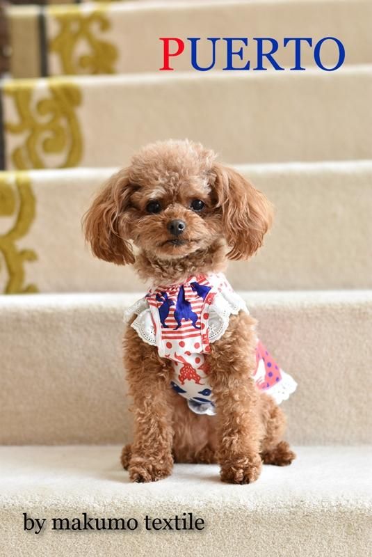 ビーンズガーデンエプロン by makumo textile - 犬服のPUERTO ビーンズガーデンエプロン by makumo textile - 犬服のPUERTO
