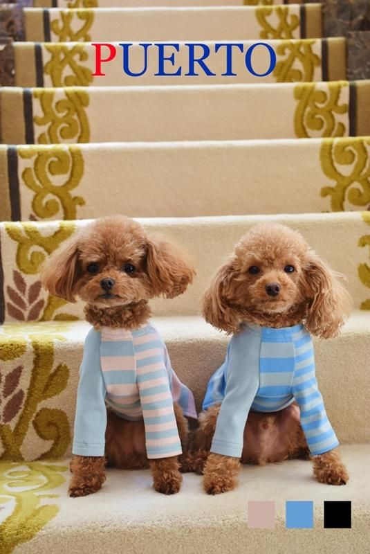 犬服PUERTO  クラシカルシャツ1ハーフ&蝶ネクタイ　セット Amazon | TOPTIE ペットのネクタイ 犬の蝶ネクタイ ペットの襟
