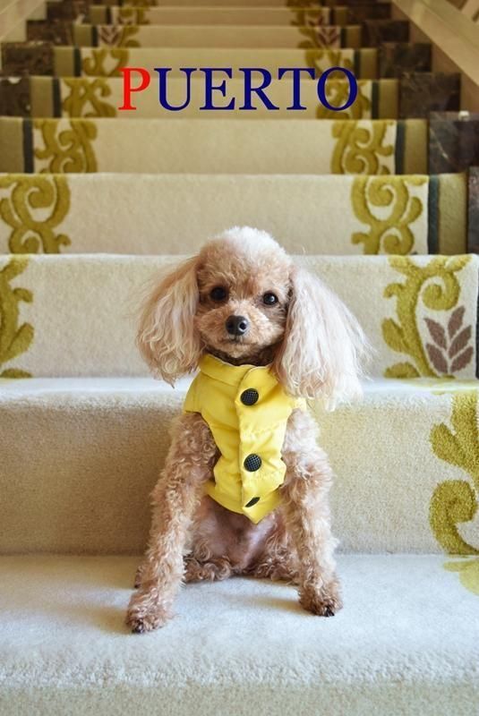 epine プードルチェックコート epine プードルチェックコート poodle fur coat pink check | épine