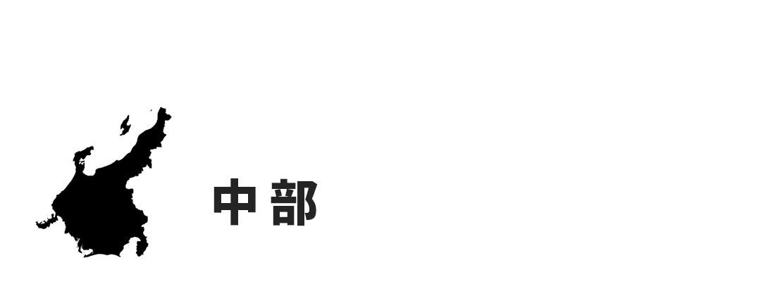 中部