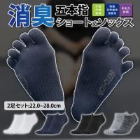 ˥ꥢ ý ܻ  (2­å)<img class='new_mark_img2' src='https://img.shop-pro.jp/img/new/icons61.gif' style='border:none;display:inline;margin:0px;padding:0px;width:auto;' />