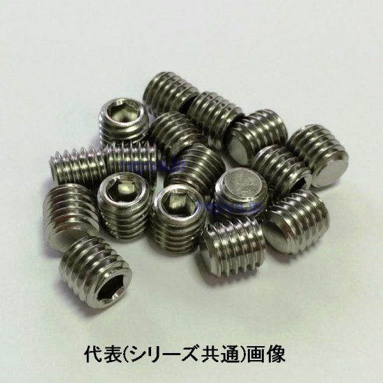 SUS304 六角穴付止めネジ M2X2 平先