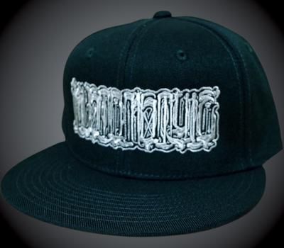 kustomstyle ॹ ʥåץХåå (KSCP2520HGR) chavo logo snap back cap 顼ϥ󥿡꡼