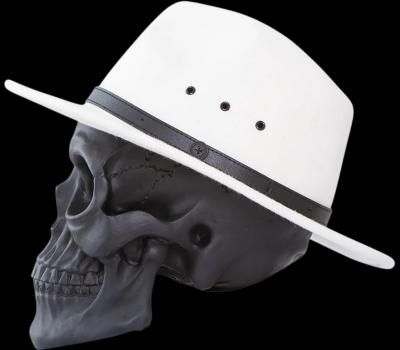 Billy Bones Club ӥ꡼ܡ󥺥 (Pablo Fedora) 