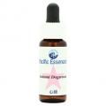 ȥߥɥååɡDogwood7,5ml
